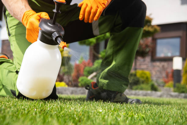Best Mosquito Control Services  in Long Beach, WA