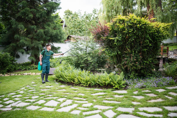 Best Emergency Pest Control  in Long Beach, WA