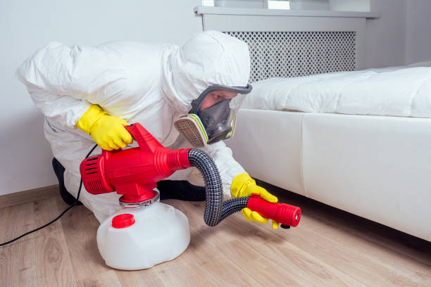 Best Best Pest Control Companies  in Long Beach, WA