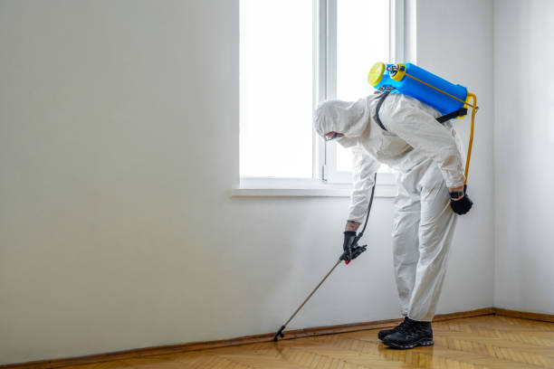 Best Ant Control Services  in Long Beach, WA
