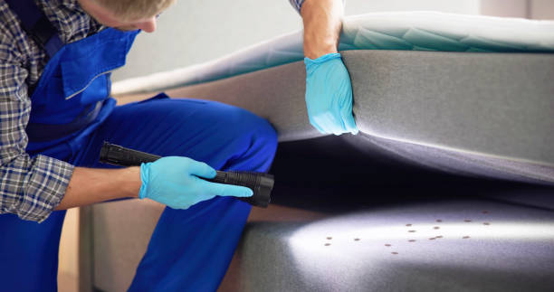 Best Exterminator Services  in Long Beach, WA