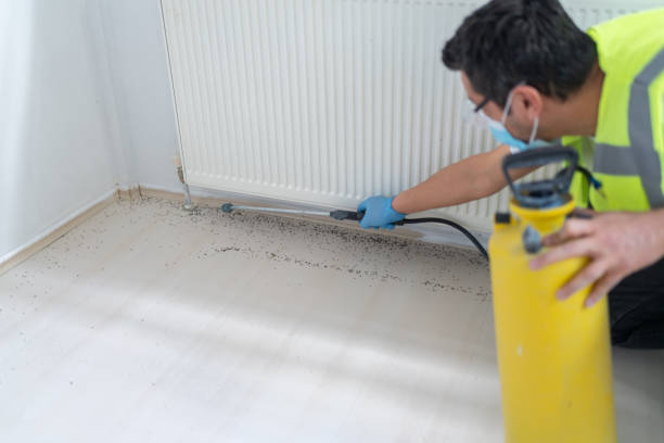  Long Beach, WA Pest Control Pros